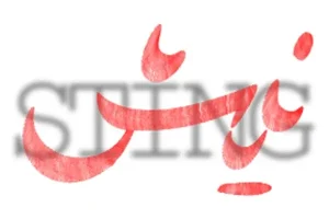 سفارش طراحی لوگو تایپ
